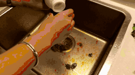 厨房水池 堵了,满是油垢,菜叶腥臭味,快倒它,马上统统清走.