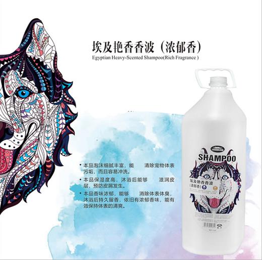 威济—— 埃及艳香  爆款10天留香  纯进口香料，去污除臭效果极好   死海泥系列沐浴露3.8L装 商品图4