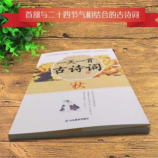 一天一首古诗词 秋 藏在二十四节气里的古诗词 小学生古诗词原文原诗注释解读鉴赏 商品图1