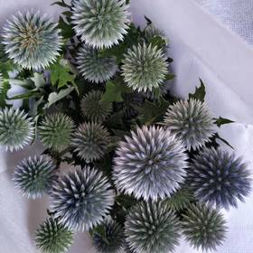 蓝星球（国产）