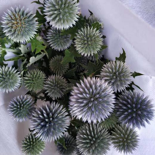 蓝星球（国产） 商品图0