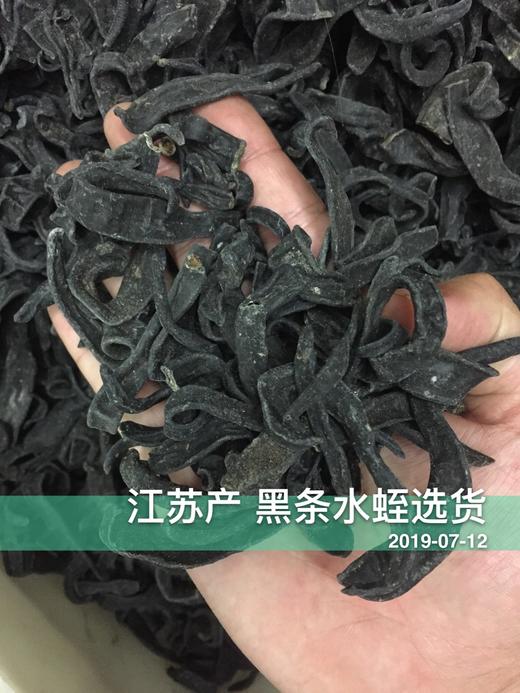 仙蒙  清水大黑条水蛭 250克 500克  1kg 商品图0