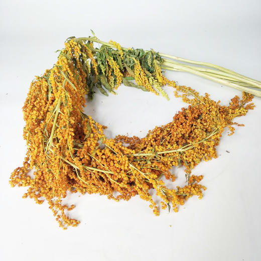 柔丽丝·黄色 商品图0