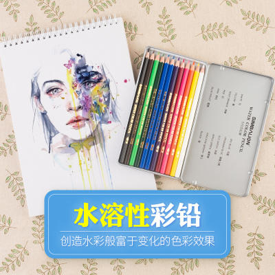 雄狮水溶性彩色铅笔 12色 24色彩铅 绘画彩铅学生美术笔填色笔铁盒 商品图2