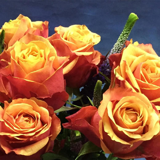 肯尼亚玫瑰樱桃白兰地10支