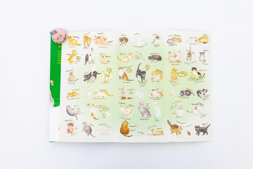 一个你从未见过的奇幻国度：子猫絮语（典藏版） 商品图5