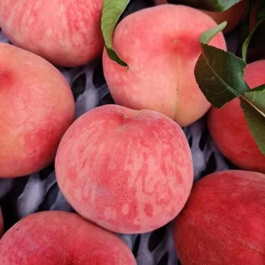 小站专享大久保桃468元斤首单送大青盐一袋