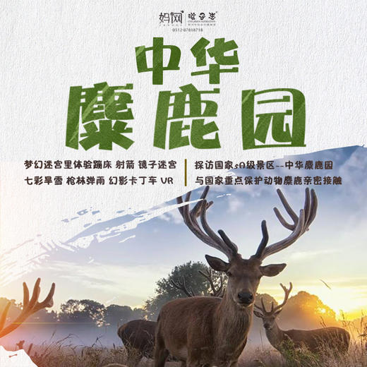 【妈网亲子】 7/20-21 7/25-26 7/27-28  盐城大丰两日游//中华麋鹿园，探索神秘“四不像” 来个亲密接触 体验枪林弹雨、游玩江苏最大卡丁车赛车场 商品图0