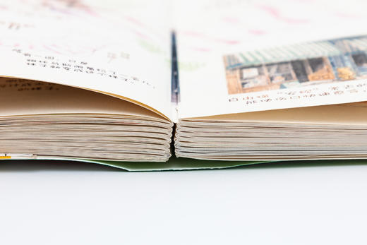 一个你从未见过的奇幻国度：子猫絮语（典藏版） 商品图4