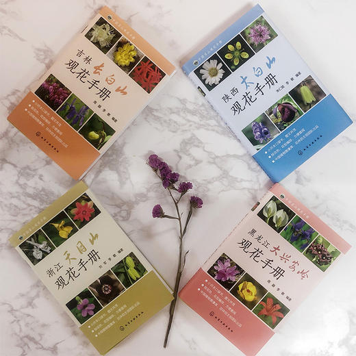 《中国名山观花手册》系列图书—共4册 商品图1