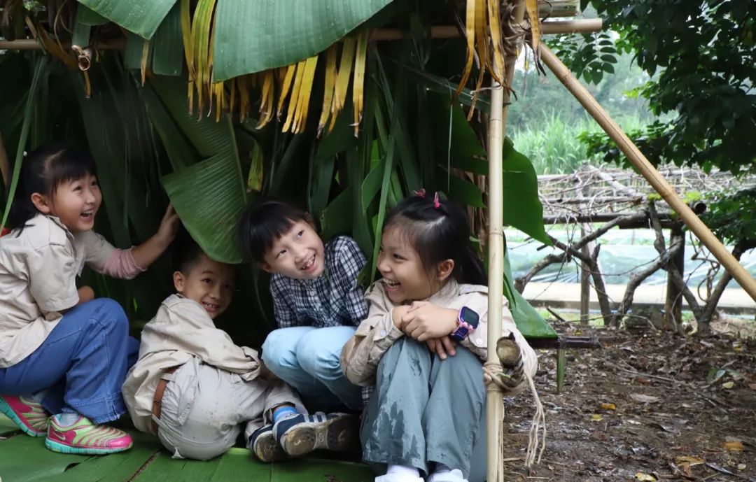 决胜荒野，五行秘技，小贝尔湿地挑战（6.1）