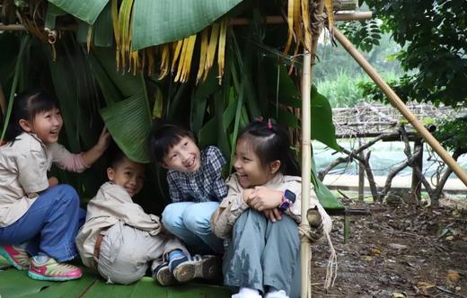 决胜荒野，五行秘技，小贝尔湿地挑战（6.1） 商品图0