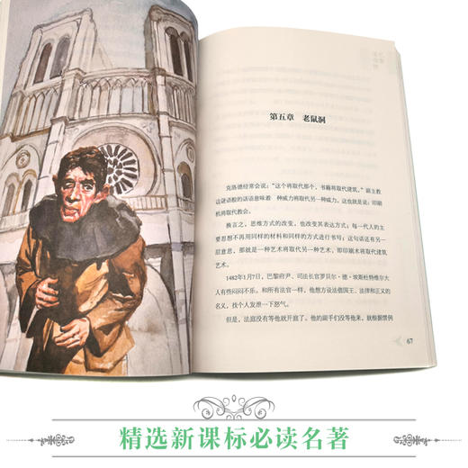 优等生必读文库·世界经典名著主题悦读系列 巴黎圣母院 商品图3