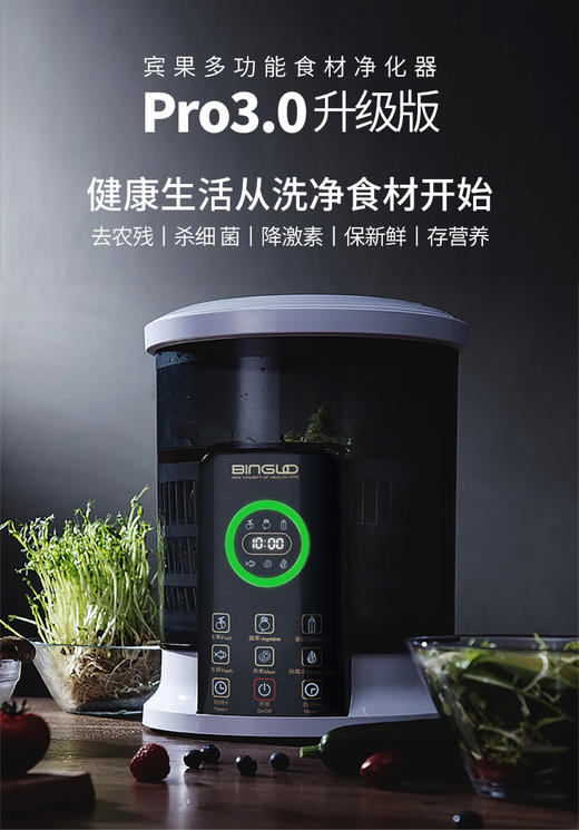 德国宾果binglo智能食材净化器果蔬消毒清洗机