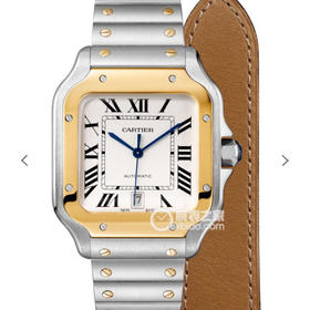 BV新款山度士W2SA0006(大号)，男士腕表，精钢表带，自动机械机芯，密底。