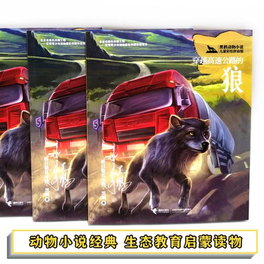 黑鹤动物小说儿童彩绘拼音版·穿越高速公路的狼 商品图1