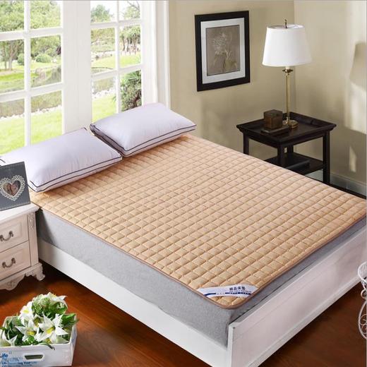 。【床上用品】*双人保护垫防滑1.8m1.5薄垫被床褥子宾馆保洁垫榻榻米垫折叠 商品图0