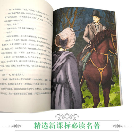 优等生必读文库·世界经典名著主题悦读系列（第二辑）共9册 参照教育部颁布的《语文课程标准》遴选书目 精选世界名著中影响力的传世经典 邀请多位特级语文教师精心编译 商品图3