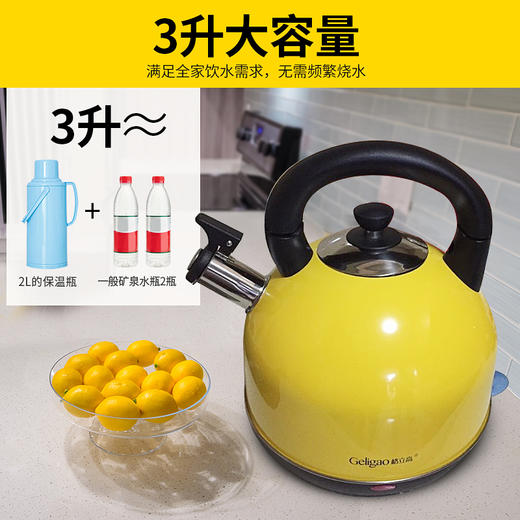 格立高电热烧水壶 304不锈钢大容量家用快壶自动断电煮茶壶烧水器 GLG-308C 商品图3