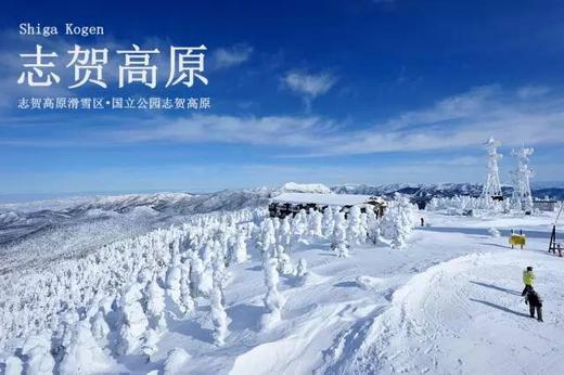 圣诞班日本长野志贺高原6日5晚滑雪之旅12月21日出发 商品图1