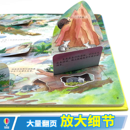 尤斯伯恩看里面·我们的星球 全4册 商品图2