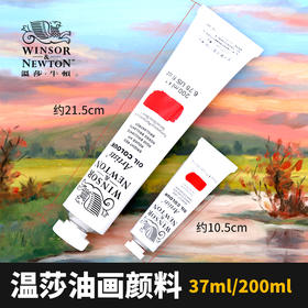 S1.2.4.5 温莎牛顿艺术家油画颜料 进口品质油画颜料37ml200ml
