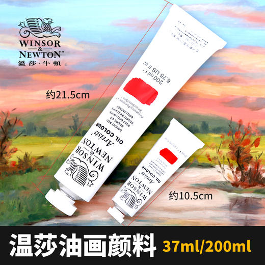 S1.2.4.5 温莎牛顿艺术家油画颜料 进口品质油画颜料37ml200ml 商品图0