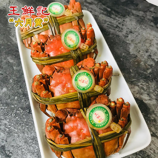 大闸蟹 |【油黄透亮流动 鲜嫩无双】江南第一批六月黄大闸蟹 商品图2