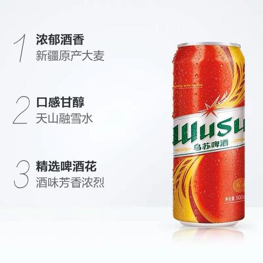 【新疆乌苏啤酒】500ml*12罐/箱，新疆原产大麦造就浓郁酒香，天山融雪水造就口感甘醇，精选啤酒花使得酒味芳香浓烈 商品图1