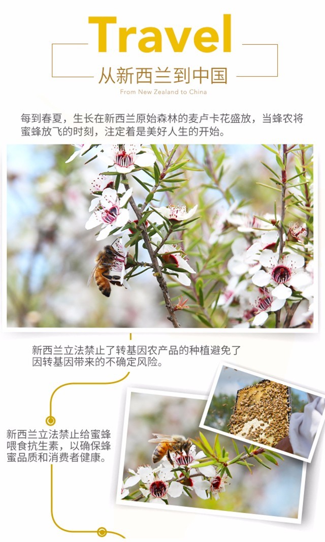 mizland蜜滋兰麦卢卡umf10蜂蜜500g有票