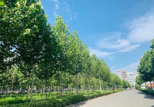 娇娇测试链接：导致月经量少的三种原因，你是其中的一种吗？ 商品图0