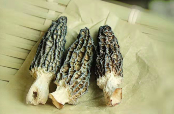 云南野生菌粉包