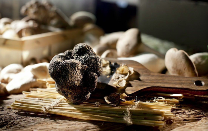 云南野生菌粉包