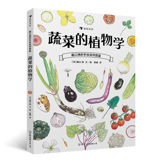 蔬菜的植物学 盛口满的手绘自然图鉴 日本童书研究会推荐儿童插图科普百科绘本书籍 商品图0