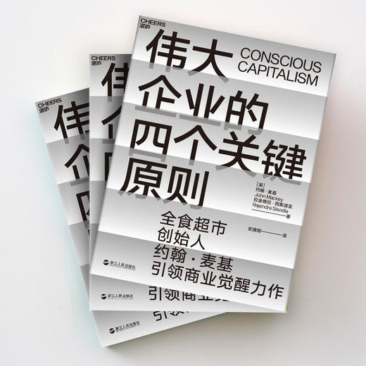 湛庐┃伟大企业的四个关键原则 商品图1