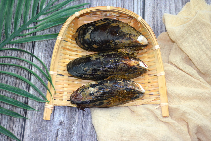 象山石浦渔山岛现捞淡菜4斤装 海中鸡蛋高蛋白