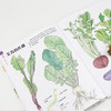蔬菜的植物学 盛口满的手绘自然图鉴 日本童书研究会推荐儿童插图科普百科绘本书籍 商品缩略图4