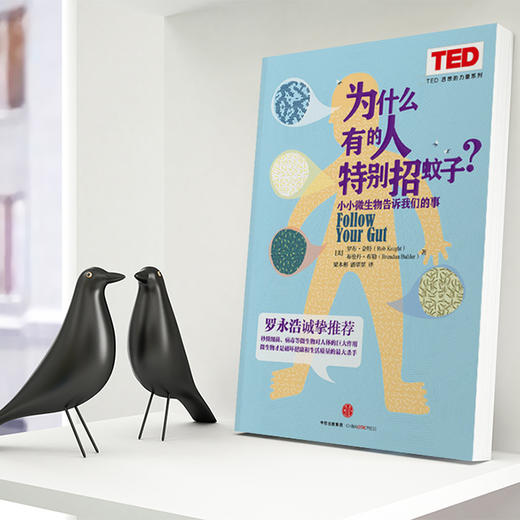 为什么有的人特别招蚊子 商品图4