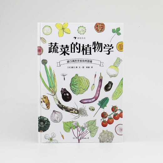 蔬菜的植物学 盛口满的手绘自然图鉴 日本童书研究会推荐儿童插图科普百科绘本书籍 商品图1