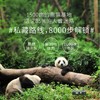 2-6人mini小团成都+熊猫基地都江堰悠闲一日游（三环内接早 赠送都江堰讲解） 商品缩略图1