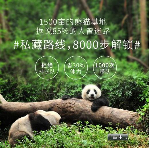 2-6人mini小团成都+熊猫基地都江堰悠闲一日游（三环内接早 赠送都江堰讲解） 商品图1