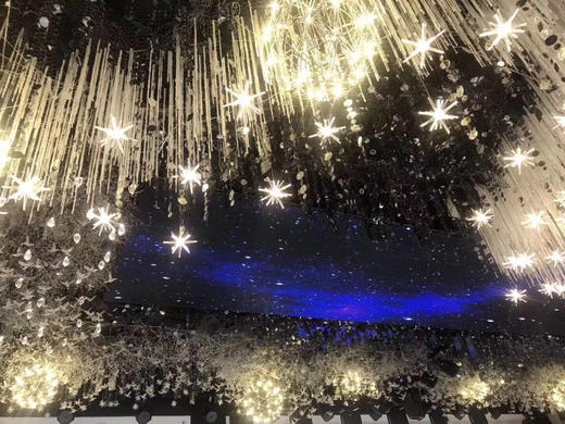 发光海胆吊灯（大号）【运费自理】 商品图1