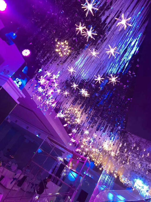 发光海胆吊灯（大号）【运费自理】 商品图2