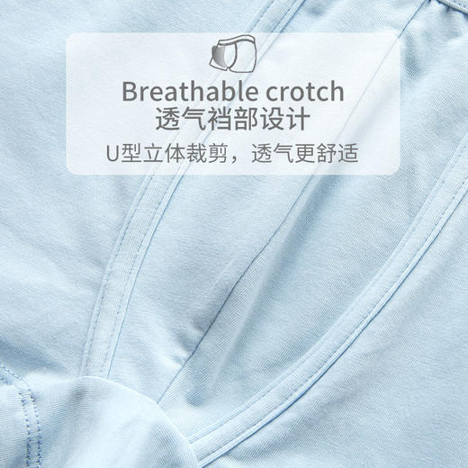 SCHIESSER KINDER/舒雅童装男童2条装棉质平角内裤37/5191T 商品图6
