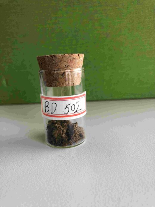 BD502 --507  每个品种3克 商品图0