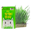 猫草盒装种植套装去毛球化毛猫草小麦种子猫咪零食猫咪盆栽 商品缩略图3