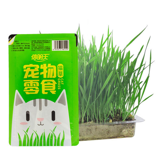 猫草盒装种植套装去毛球化毛猫草小麦种子猫咪零食猫咪盆栽 商品图3