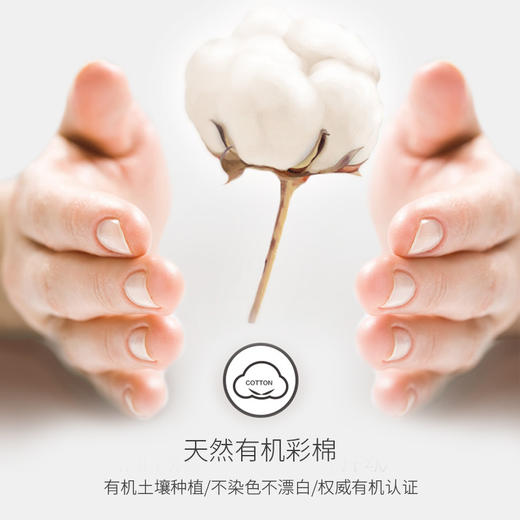 素道 秋衣秋裤女内衣套装 常规款冬季修身圆领保暖有机彩棉 男款内衣 商品图1