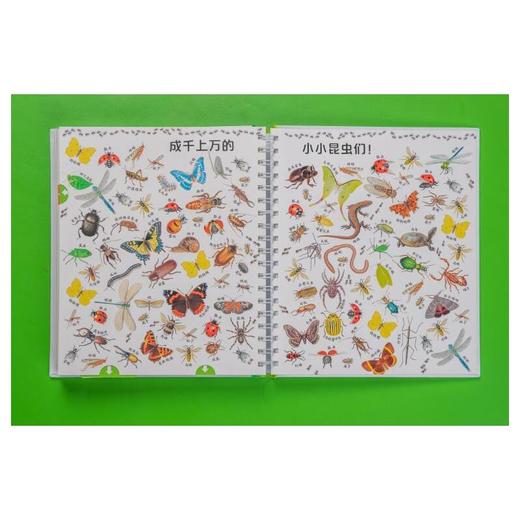 第一次发现丛书·互动探索系列大百科 全3册 商品图3