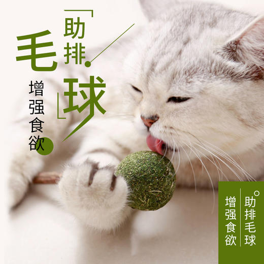猫咪薄荷棒棒糖木天蓼去毛球助消化洁齿猫咪玩具猫零食